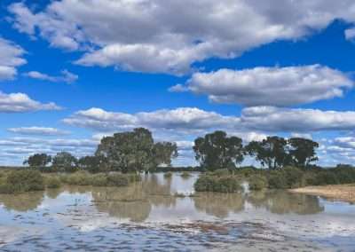 One Tree Hotel No Access To Our Usual Camping Spot