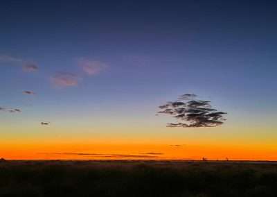 One Tree Hotel Sunset