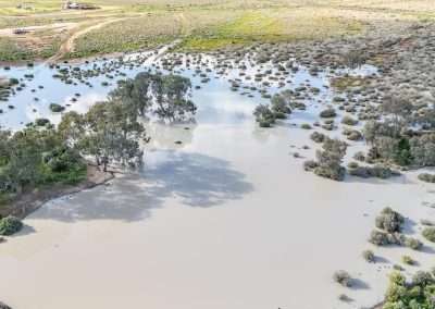 One Tree Hotel We Camp Sometimes Underneath All That Water