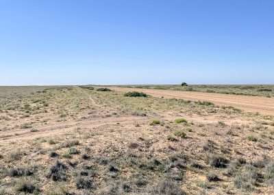 Oodnadatta Track