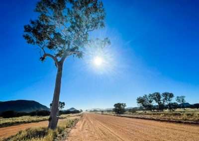 Ghost Gum With The Len Beadell Plaque On The GCR