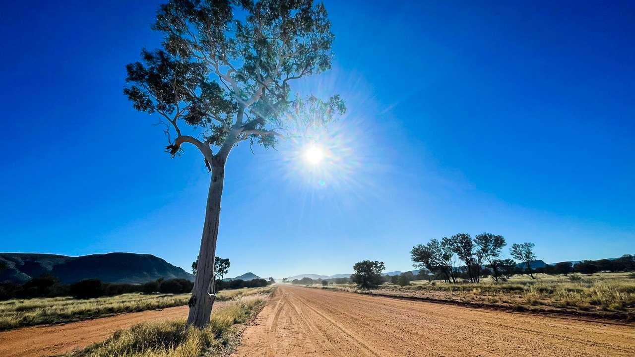 Ghost Gum With The Len Beadell Plaque On The GCR
