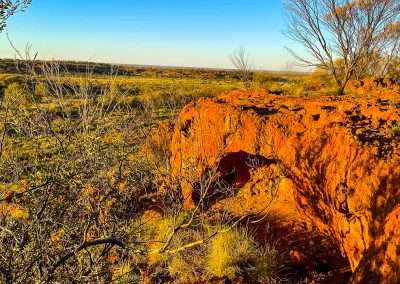 I Climbed The Rocky Escarpment Behind Yarla Kutjarra Camping Area