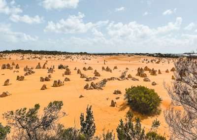 Looking Out Over The Pinnacles Desert