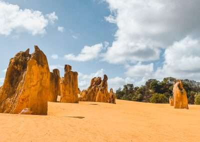 Pinnacles In Nambung National Park