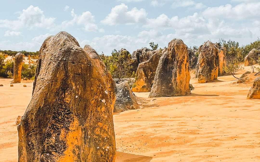 We Visited The Pinnacles Desert: Awesome Day Trip From Perth