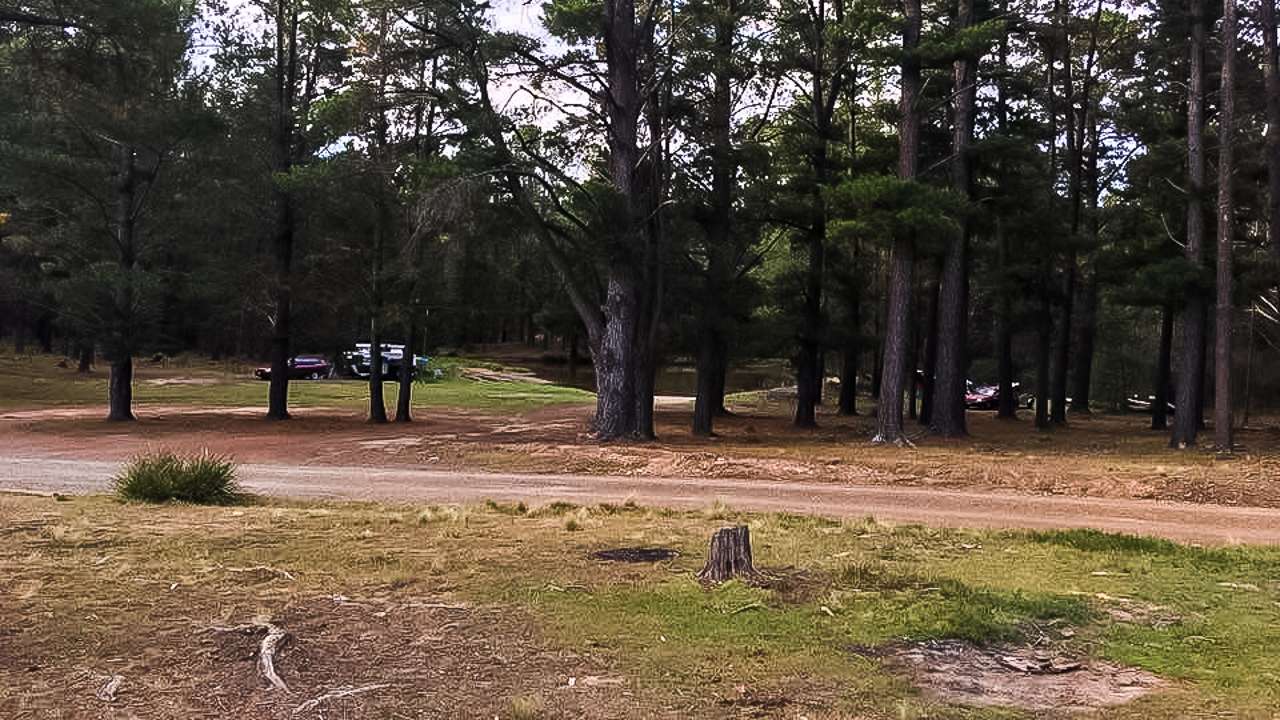 Belanglo State Forest Camping