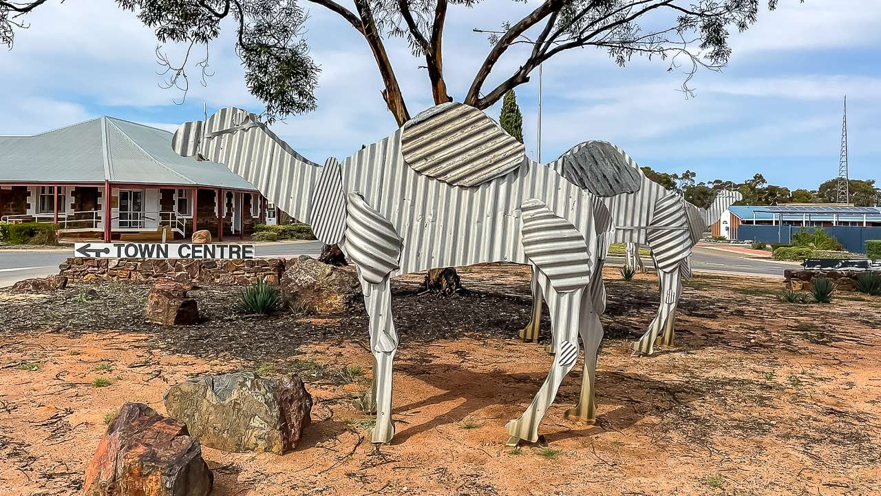 Camel Statues Norseman WA