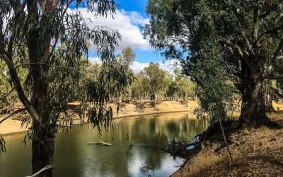 Camping NSW: A Guide To Camping In New South Wales