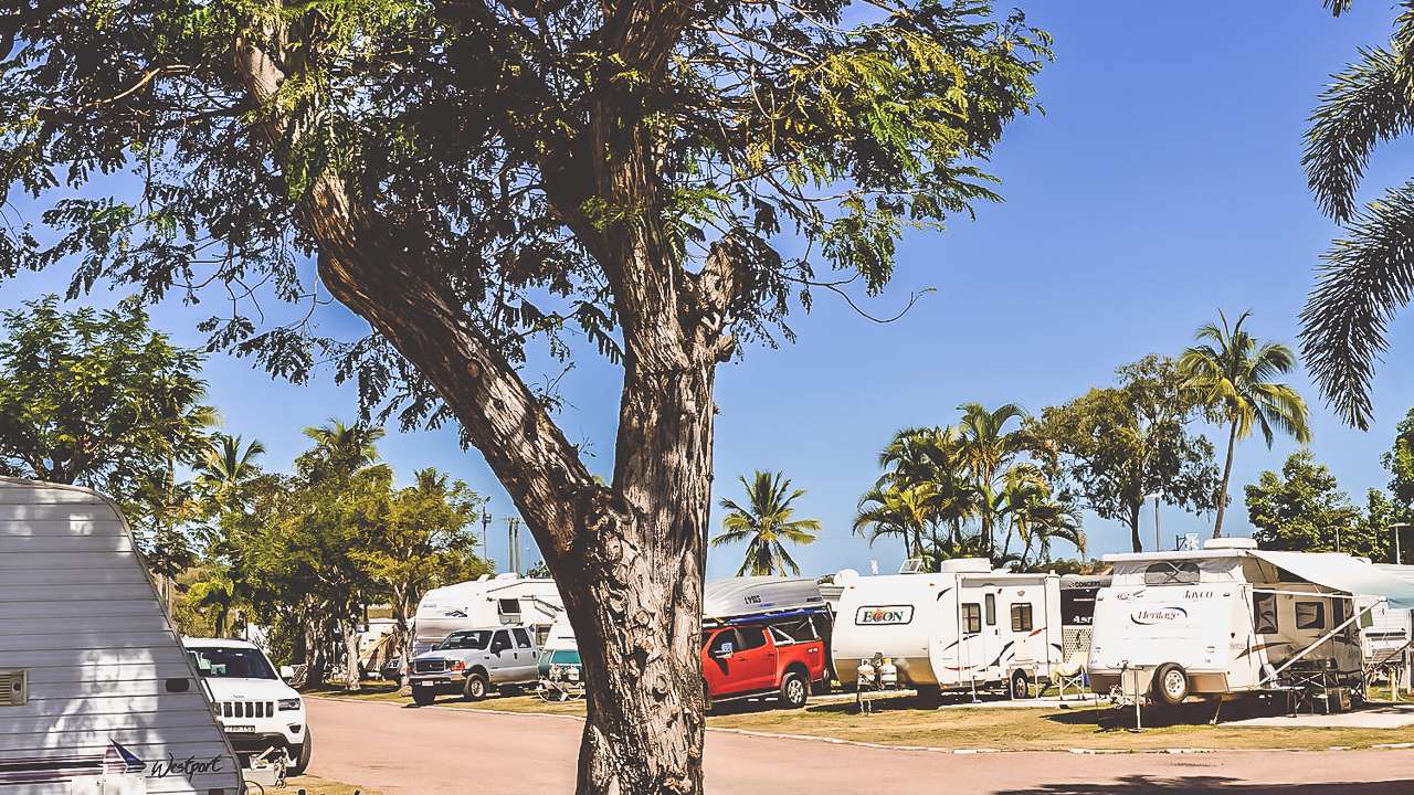Coconut Glen Caravan Park Townsville (Photo Used Courtesy Of Coconut Glen Caravan Park)