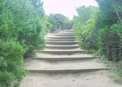Great Ocean Road Bushwalking Lots of Steps
