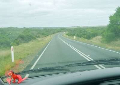 Great Ocean Road Driving