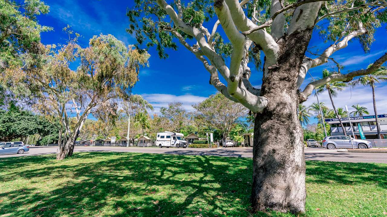 Tasman Holiday Parks Rowes Bay Townsville Caravan Park (Photo Courtesy Tasman Holiday Parks Rowes Bay)