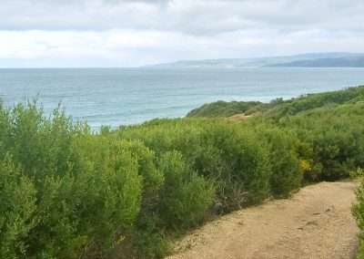 Victorian Coastline