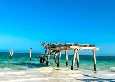 Abandoned Timber Jetty At Eucla Western Australia Australia
