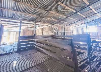 Inside Koonalda Shearing Shed