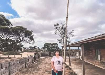 Old Overland Telegraph Pole Outside Koonalda Homestead