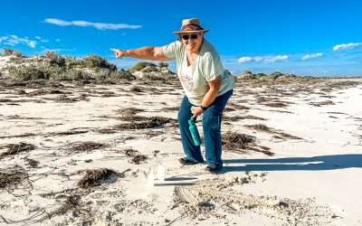 Camping And Exploring Eucla Western Australia, Australia
