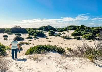 Walking The Dunes At Eucla Western Australia Australia