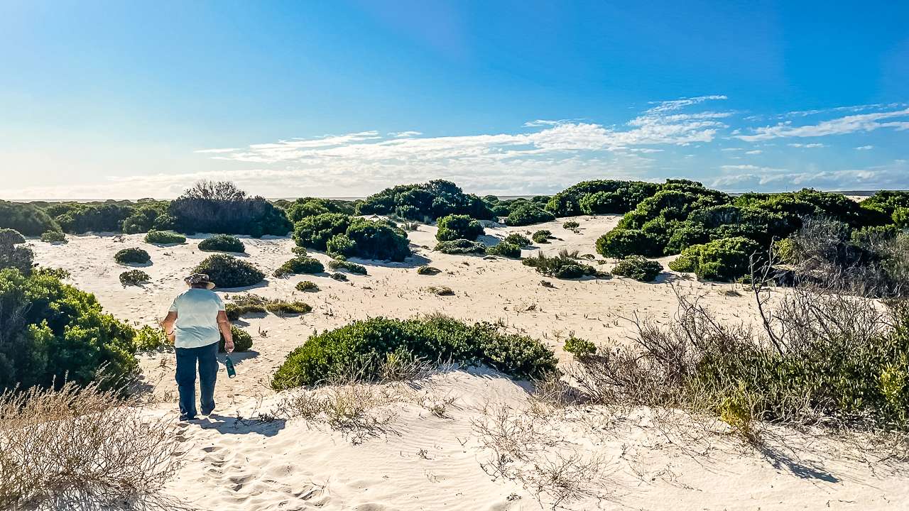 Walking The Dunes At Eucla Western Australia Australia