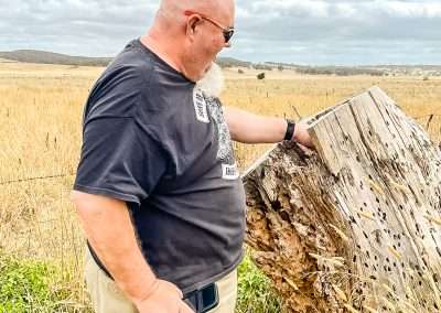 Geocache In The End of The Stump