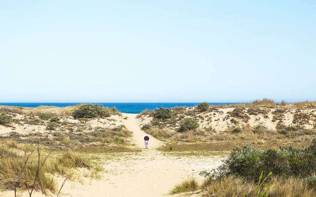 9 Top Rated FREE CAMPSITES Lakes Entrance VIC