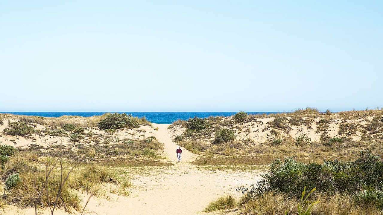 Beach Lake Tyers State Park (Photo Courtesy Parks Victoria)