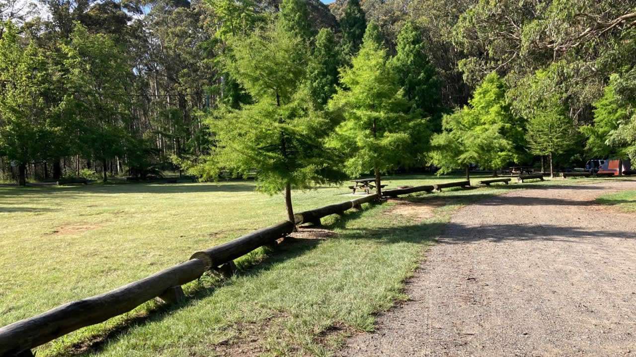 Free Camp Blue Mountains At Cathedral Reserve