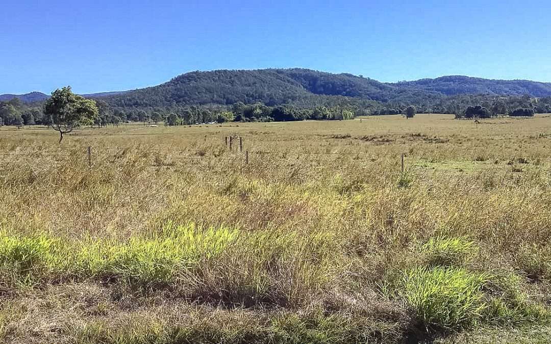 7 GREAT Free Campsites Sunshine Coast For You To Stay At