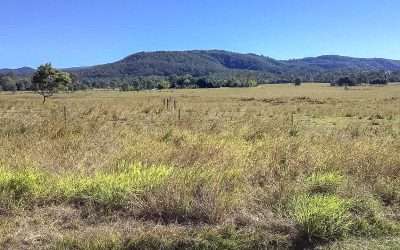 7 GREAT Free Campsites Sunshine Coast For You To Stay At