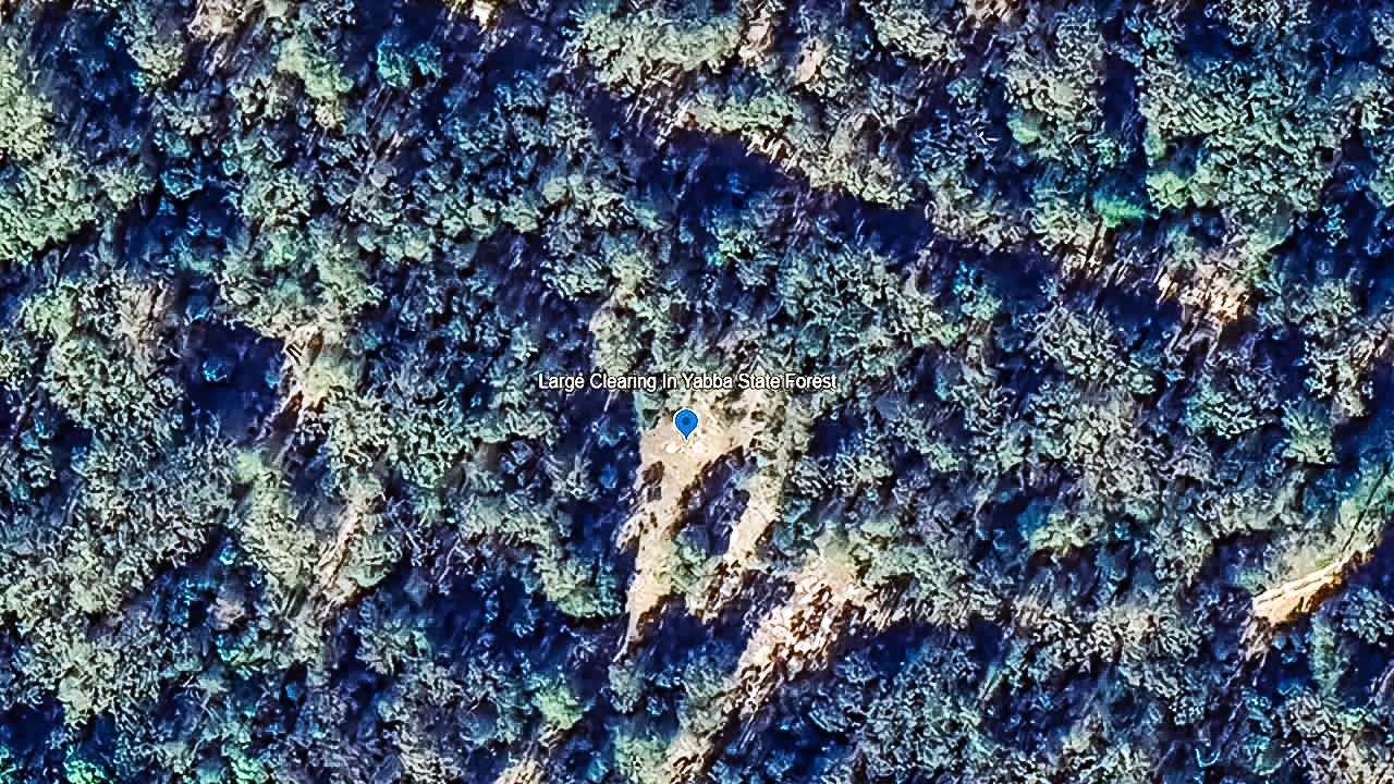 Free Campsites Sunshine Coast Yabba State Forest