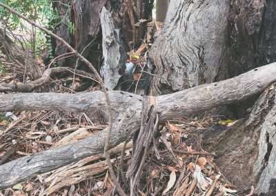 Geocache At Uranquinty Cemetery