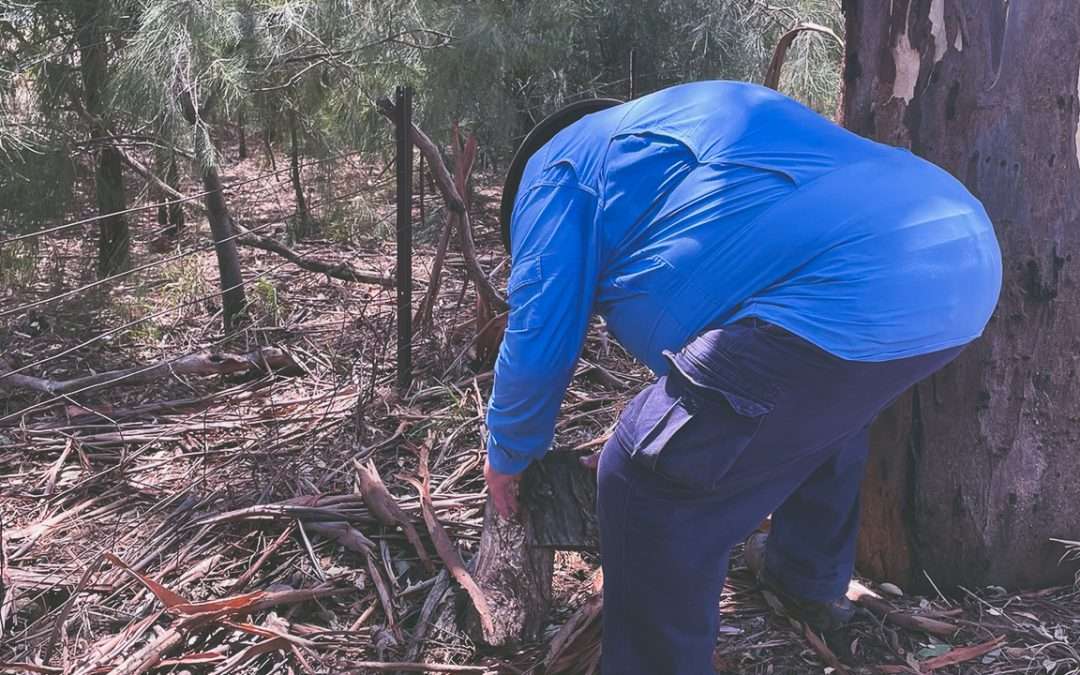 Geocaching Around Uranquinty And Frampton