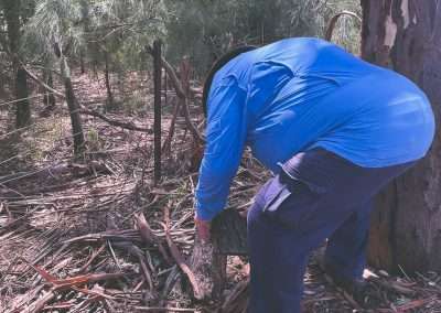 Geocache Hidden In A Log Near Uranquinty NSW