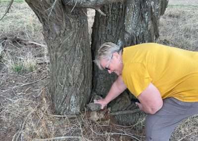 Geocaching Around Marrar Found One!