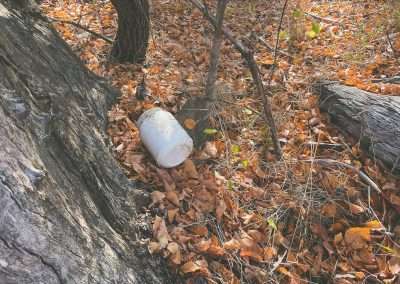Geocaching Near Frampton Close To Rotary Park