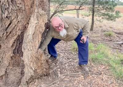 Hidden In A Tree Look Out For Snakes!