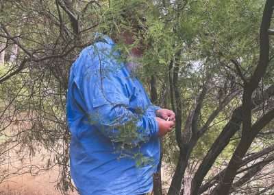 Hidden In The Bushes!