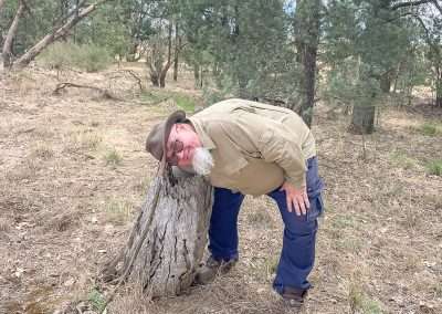 It's In There Somewhere