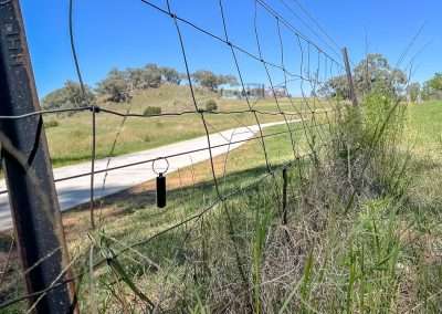 More Geocaching Around Cowra