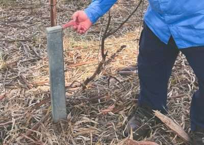 Sneaky Geocache Hide In A Fake Telstra Enclosure