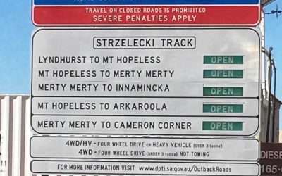 The Strzelecki Track: Planning Your Next Adventure