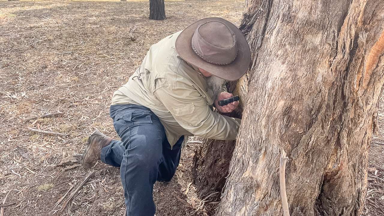 Geocache At The Ariah Park Arboretum
