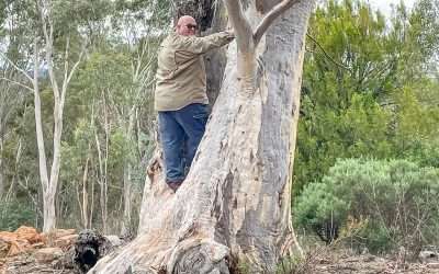 Geocaching Near Canberra