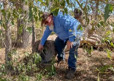 It's In There! Found Another Geocache