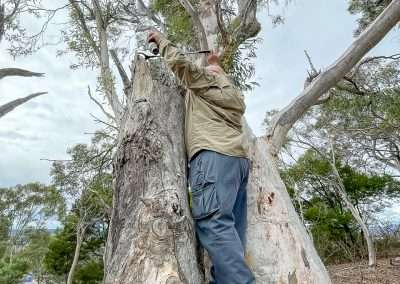 Its In There Somewhere Geocache Hunting