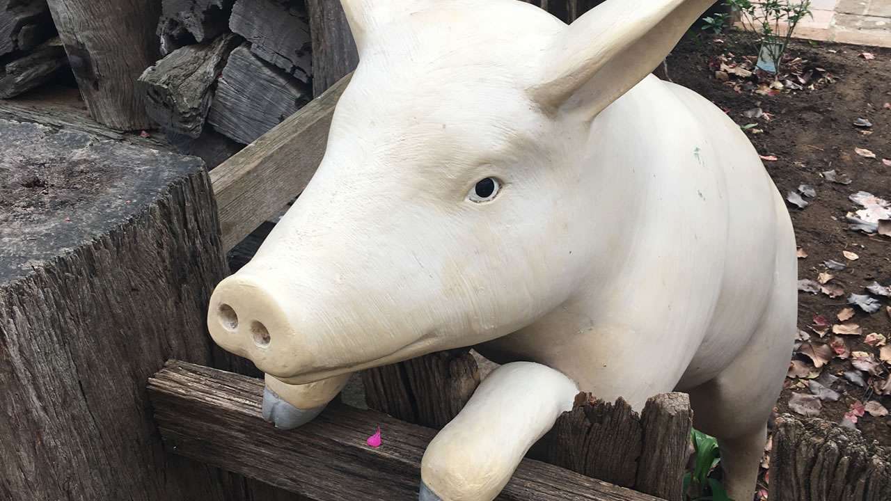 Junee Chocolate & Licorice Factory Don't Be Like Old Mate Outside The Entry Door When You Visit!