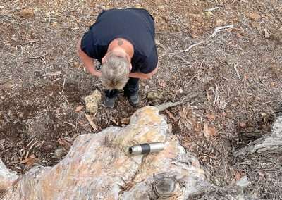 Looking Down On Amanda After I Climbed A Tree To Get A Geocache In Canberra