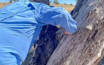 Placing Some Geocaches And Geocaching At Marrar Again