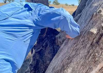 Looking For A Geocache